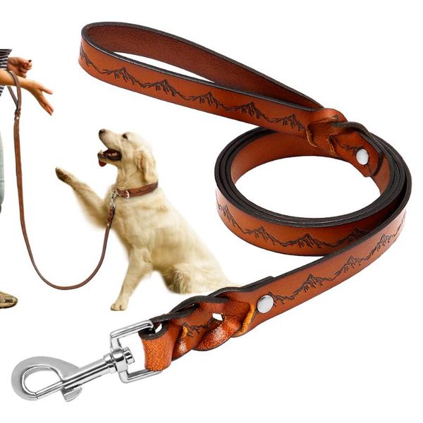 dog collars & leashes leash real leather dogs walking lead leashess braid pet training with print strong for large 130cm
dog collars & leashes leash real leather dogs walking lead leashess braid pet training with print strong for large 130cm