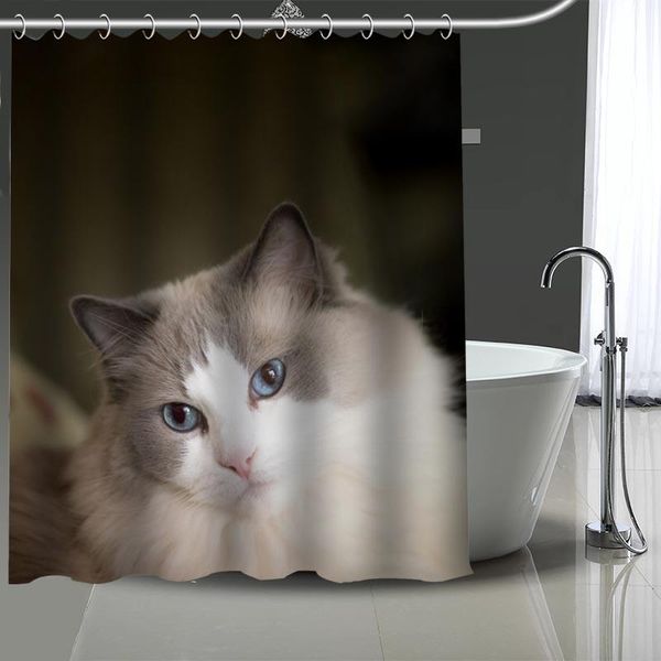 custom ragdoll cat shower curtains bath products bathroom decor waterproof polyester with 12 pcs hooks
custom ragdoll cat shower curtains bath products bathroom decor waterproof polyester with 12 pcs hooks
