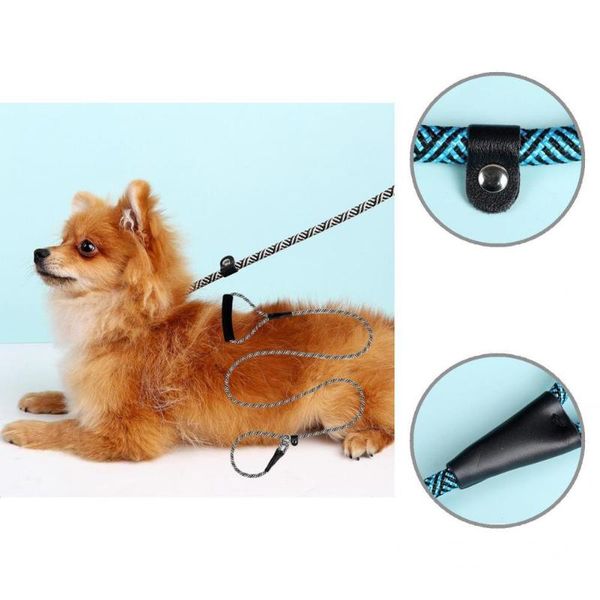 dog collars & leashes puppy rope small large nylon pet leash belt wearable traction
dog collars & leashes puppy rope small large nylon pet leash belt wearable traction
