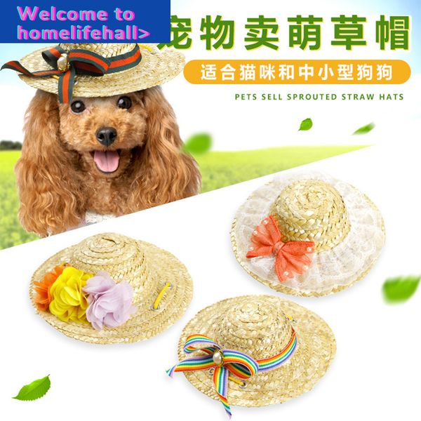 clothes clothing suppliesa hooded variety of exotic farmer hats, sun visors, dog cat and straw hats
clothes clothing suppliesa hooded variety of exotic farmer hats, sun visors, dog cat and straw hats