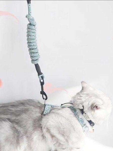 cat chest back traction rope pet products daily style and adjustable clasp collars & leads
cat chest back traction rope pet products daily style and adjustable clasp collars & leads