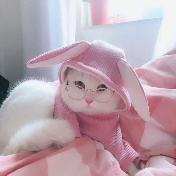 cat costumes 1 pc pet glasses fashion cute eye-wear sunglasses for cats little pets pos prop dog accessories products
cat costumes 1 pc pet glasses fashion cute eye-wear sunglasses for cats little pets pos prop dog accessories products