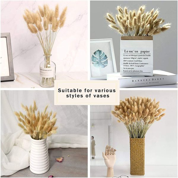 30pcs rabbit grass bouquet dried flower bunny tail natural plants floral home decoration accessories pgraphy props flores
30pcs rabbit grass bouquet dried flower bunny tail natural plants floral home decoration accessories pgraphy props flores