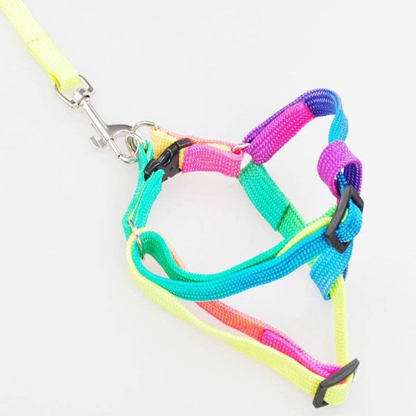 rainbow color dog leash traction rope small chest back style chain nylon lead sliding neck collars & leashes
rainbow color dog leash traction rope small chest back style chain nylon lead sliding neck collars & leashes