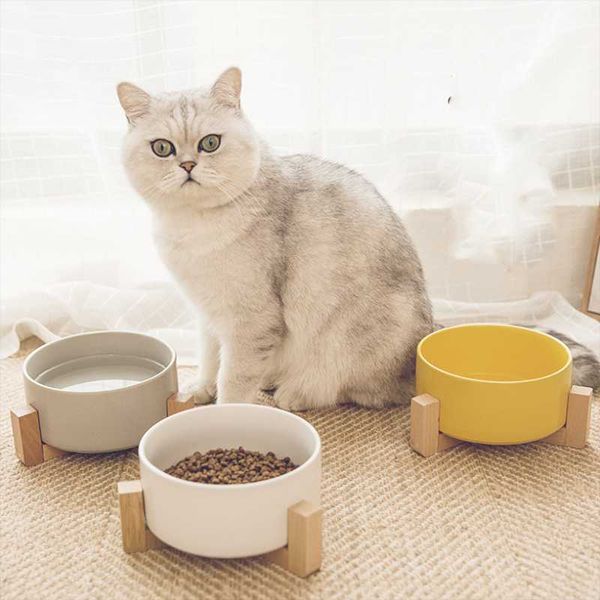 cat bowls & feeders ceramic bowl for and drinkers bamboo cats accessories supplies pet feeder fountain puppy kitten dog waterer
cat bowls & feeders ceramic bowl for and drinkers bamboo cats accessories supplies pet feeder fountain puppy kitten dog waterer