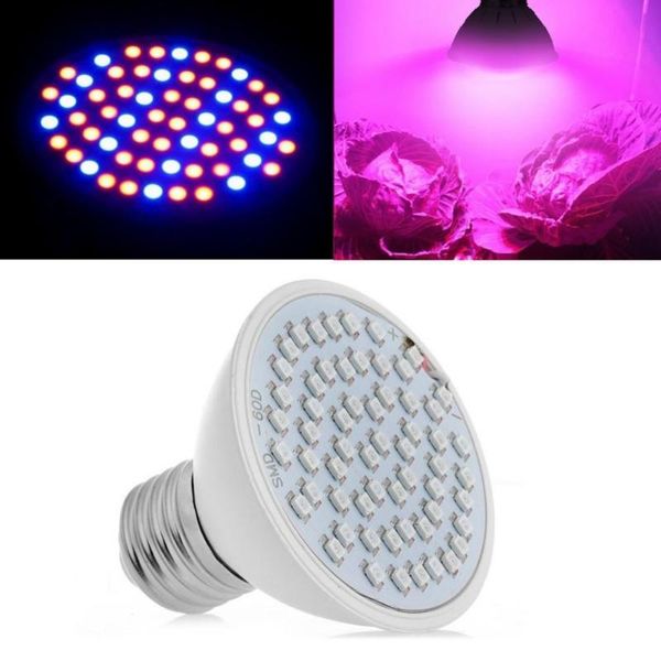 4pc/lot whosee full spectrum hydroponics 6w 60led e27 grow light bulb lamp for flower,plant,vegetable growing lights
4pc/lot whosee full spectrum hydroponics 6w 60led e27 grow light bulb lamp for flower,plant,vegetable growing lights