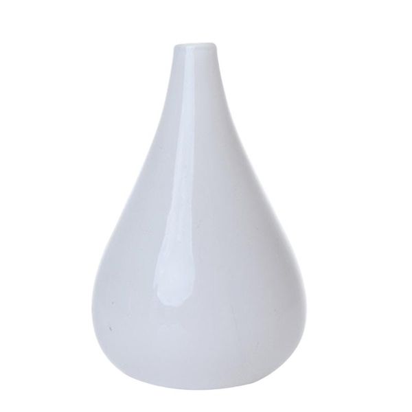 vases 1pc glass vase flower water plant for plating (white)
vases 1pc glass vase flower water plant for plating (white)