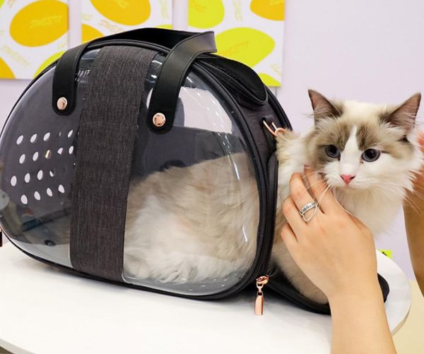 dog car seat covers pet cat travel outdoor carrier backpack space puppy shoulder kitten 
dog car seat covers pet cat travel outdoor carrier backpack space puppy shoulder kitten