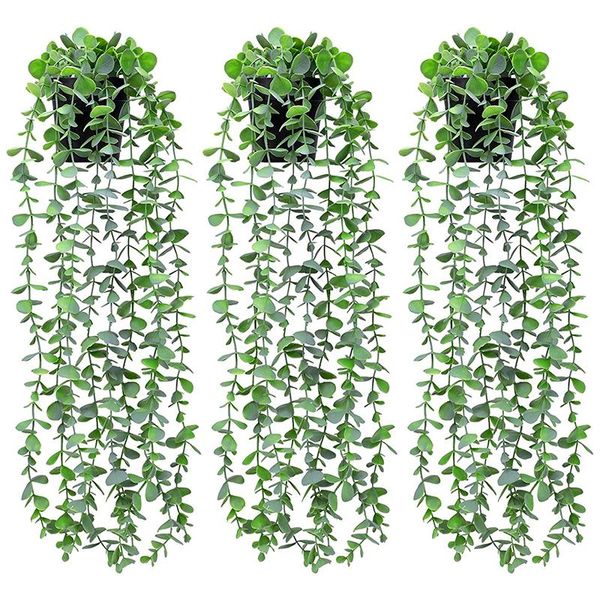 decorative flowers & wreaths fake plants artificial eucalyptus potted hanging greenery 3 pack vines in pot for home indoor
decorative flowers & wreaths fake plants artificial eucalyptus potted hanging greenery 3 pack vines in pot for home indoor