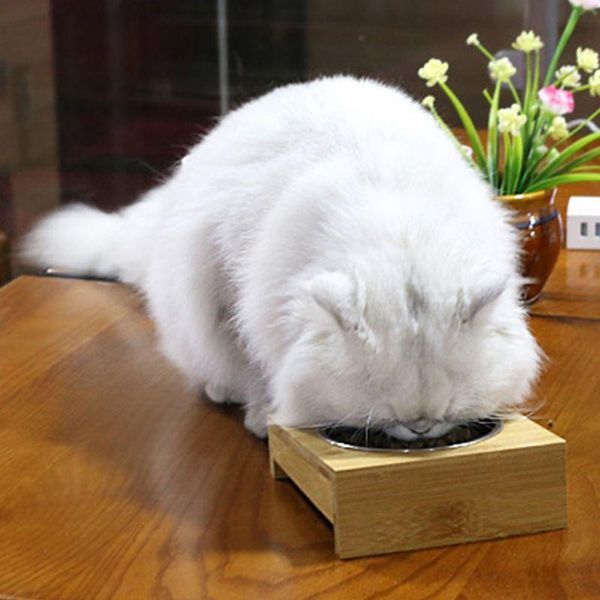 Cat Bowls & Feeders Pet Food Water Feeding Bowl For Dogs Cats Natural Bamboo Stent Single / Double Tableware Balance Environmental
Cat Bowls & Feeders Pet Food Water Feeding Bowl For Dogs Cats Natural Bamboo Stent Single / Double Tableware Balance Environmental