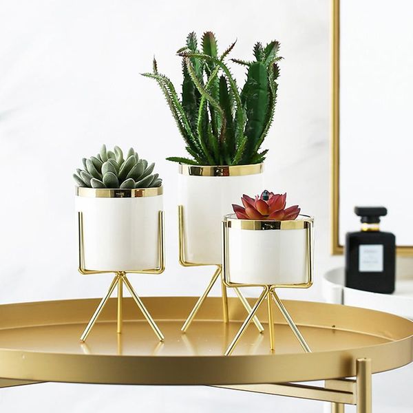 vases 1pc nordic hydroponic ceramic iron art vase minimalism flower green plant flowerpot coffeehouse office home decoration
vases 1pc nordic hydroponic ceramic iron art vase minimalism flower green plant flowerpot coffeehouse office home decoration