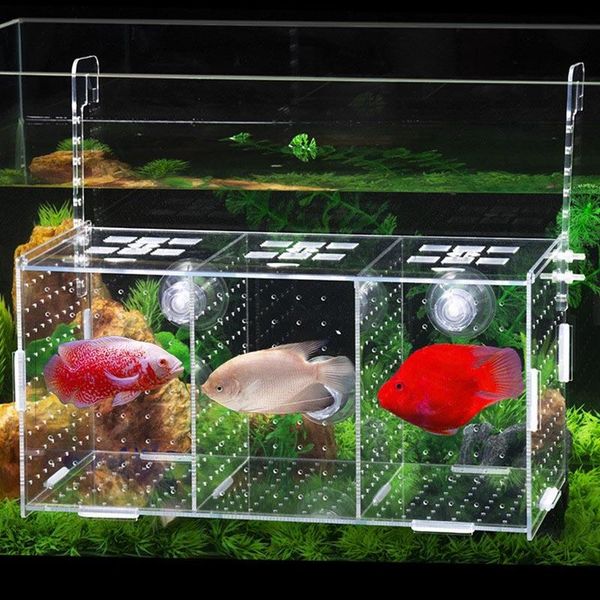 aquariums large size small fish isolation box acrylic double grid breeding hook type aquarium
aquariums large size small fish isolation box acrylic double grid breeding hook type aquarium