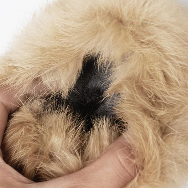 dress shoes winter hair pointed toe woman british buckle fur mary janes pumps suede mid-high chunky heels plush furry moccasins, Black
dress shoes winter hair pointed toe woman british buckle fur mary janes pumps suede mid-high chunky heels plush furry moccasins, Black