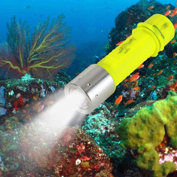 diving underwater 1200lm high power lanterna waterproof led 18650 rechargeable battery torch flashlights torches
diving underwater 1200lm high power lanterna waterproof led 18650 rechargeable battery torch flashlights torches