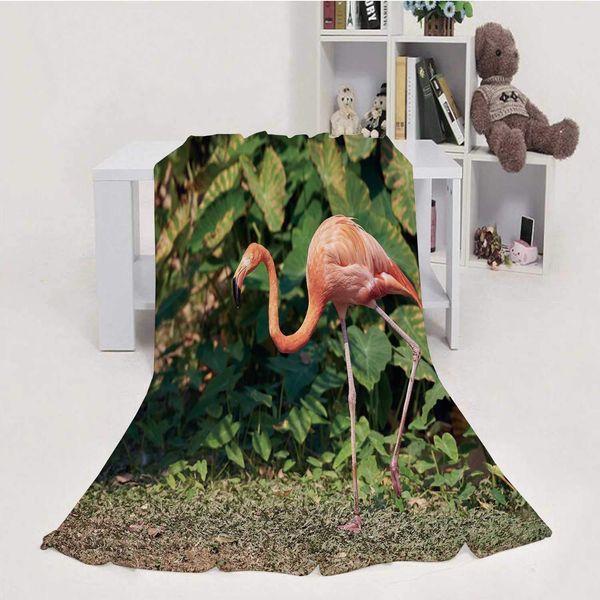a beautiful flamingo in the suny,throw blanket soft fuzzy microfiber sofa couch blanket 30''x40''(wxl)
a beautiful flamingo in the suny,throw blanket soft fuzzy microfiber sofa couch blanket 30''x40''(wxl)
