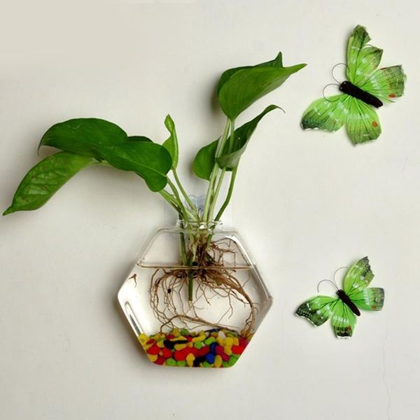 vases hexagon shape wall hanging plant terrarium geometric glass planter transparent vase diy bottle home office decoration
vases hexagon shape wall hanging plant terrarium geometric glass planter transparent vase diy bottle home office decoration