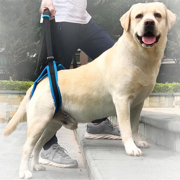 dog apparel adjustable lift harness for back legs pet support sling help weak stand up dogs leash aid assist reliable good tool
dog apparel adjustable lift harness for back legs pet support sling help weak stand up dogs leash aid assist reliable good tool