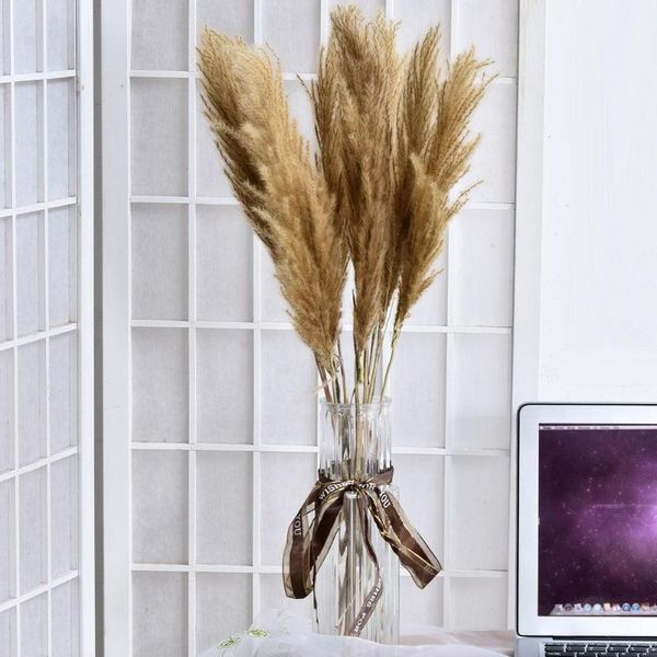 10pcs/lot natural dried flower reed bouquet for home decor small pampas grass wedding whisk phragmites decorative flowers & wreaths
10pcs/lot natural dried flower reed bouquet for home decor small pampas grass wedding whisk phragmites decorative flowers & wreaths