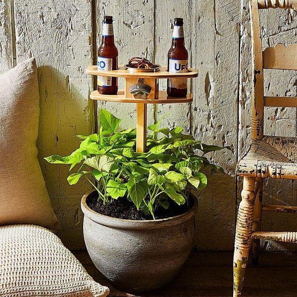 outdoor indoor portable wine table with foldable round deskmini wooden easy travel to carry 4 types available camp furniture
outdoor indoor portable wine table with foldable round deskmini wooden easy travel to carry 4 types available camp furniture
