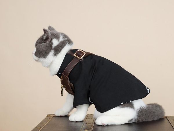 cat costumes pet clothes summer dog puppy hoodies xs-2xl small clothing chihuahua schnauzer t-shirt for cats pug akita
cat costumes pet clothes summer dog puppy hoodies xs-2xl small clothing chihuahua schnauzer t-shirt for cats pug akita