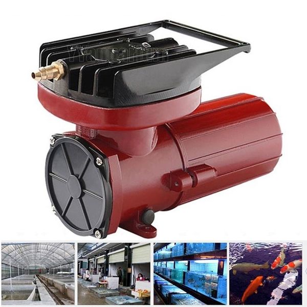 genuine hailea 25w dc12v permanent magnetic air compressor pumps aquarium for fish farming pond hydroponic seafood restaurant & accessories
genuine hailea 25w dc12v permanent magnetic air compressor pumps aquarium for fish farming pond hydroponic seafood restaurant & accessories