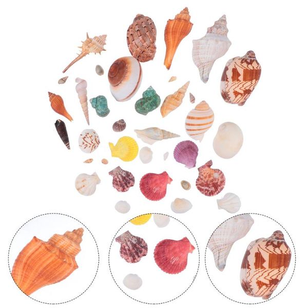 novelty items 1 set fish tank sea snails ocean aquarium decorative shells beach conch
novelty items 1 set fish tank sea snails ocean aquarium decorative shells beach conch