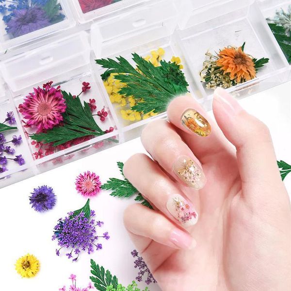 colors real dried flowers natural floral sticker 3d nail art decors diy tips manicure gypsophila beauty decals1, Silver;gold
colors real dried flowers natural floral sticker 3d nail art decors diy tips manicure gypsophila beauty decals1, Silver;gold