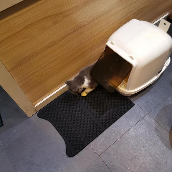 cat beds & furniture 2021 direct selling ears pet litter mat double layer eva non-slip pad sand toilet leather waterproof clean accessories
cat beds & furniture 2021 direct selling ears pet litter mat double layer eva non-slip pad sand toilet leather waterproof clean accessories