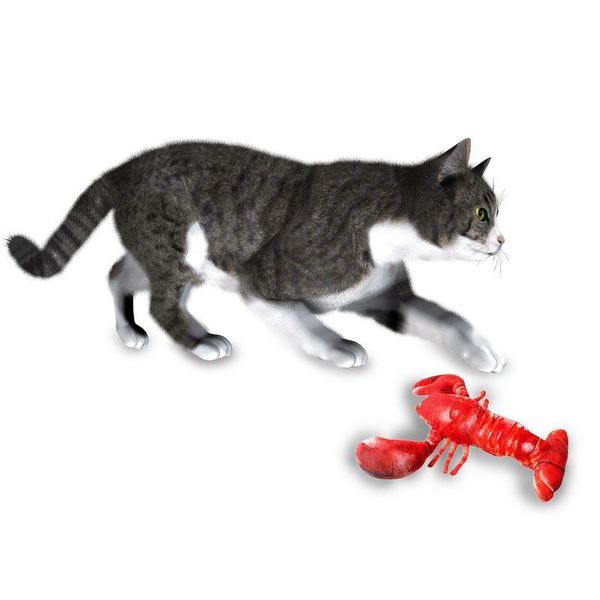 cat toys 3d crayfish shape pet toy interactive catnip stuffed pillow doll simulation fish electric usb
cat toys 3d crayfish shape pet toy interactive catnip stuffed pillow doll simulation fish electric usb