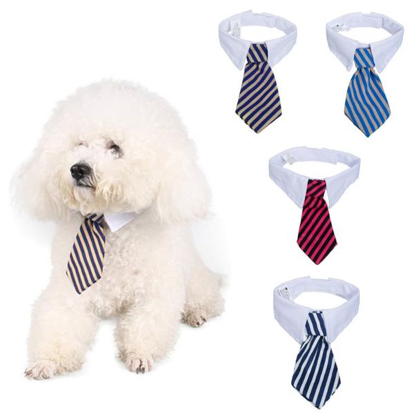 dog apparel 2021 fabric pet products cat necktie puppy kitten fashion cute stripe bow tie white collar size s l
dog apparel 2021 fabric pet products cat necktie puppy kitten fashion cute stripe bow tie white collar size s l