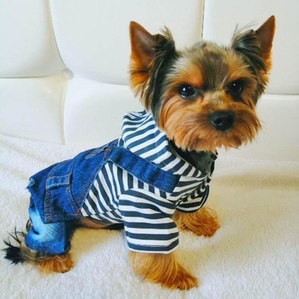 dog apparel denim jacket stripe jumpsuit fashion cowboy suit chihuahua jeans vest spring rompers clothes for pugs yorkshire poodle
dog apparel denim jacket stripe jumpsuit fashion cowboy suit chihuahua jeans vest spring rompers clothes for pugs yorkshire poodle