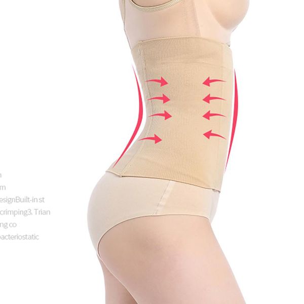 women's shapers waist trainer slimming seamless high for belly workout body shaper girdle shapewear control belt, Black;white
women's shapers waist trainer slimming seamless high for belly workout body shaper girdle shapewear control belt, Black;white