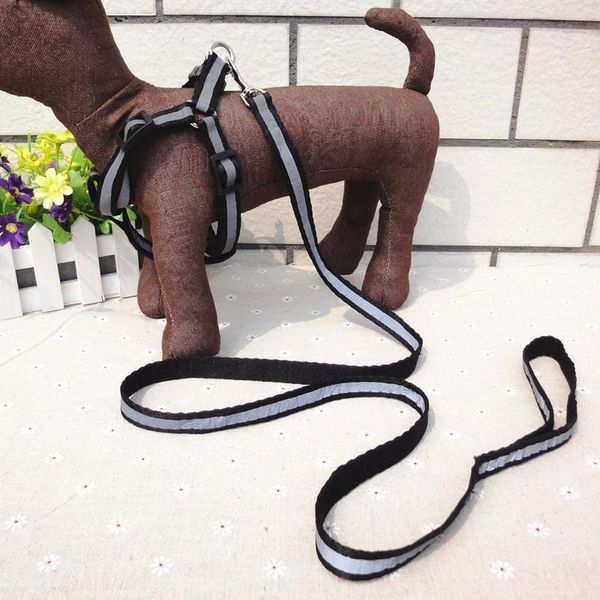 dog collars & leashes pet cat leash rope nylon adjustable training lead strap traction harness collar
dog collars & leashes pet cat leash rope nylon adjustable training lead strap traction harness collar