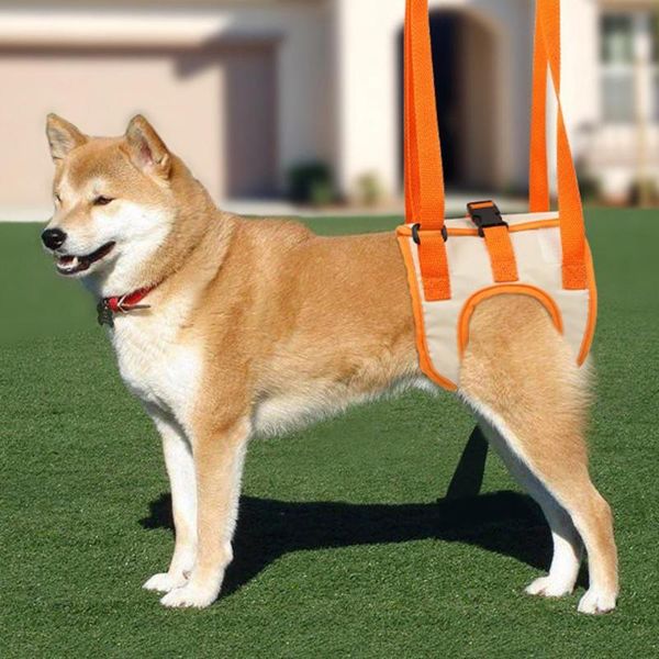 dog apparel pet leg belt adjustable double fixed buckle portable engineering harness for accessories suministros para perros
dog apparel pet leg belt adjustable double fixed buckle portable engineering harness for accessories suministros para perros