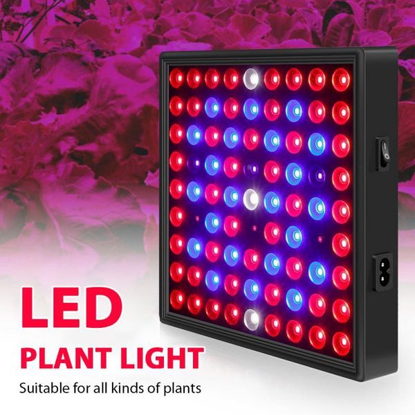 grow light phyto lamp led full spectrum plant uv vegetable flower for indoor hydroponic waterproof lights
grow light phyto lamp led full spectrum plant uv vegetable flower for indoor hydroponic waterproof lights