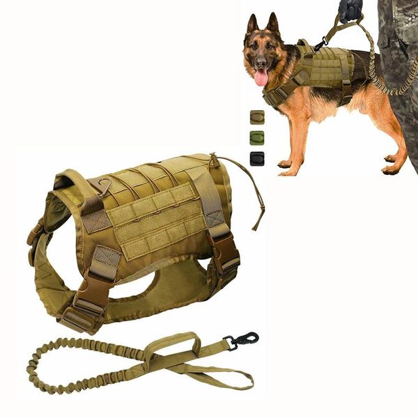 military tactical dog harness german shepherd pet vest with handle nylon bungee leash for small large dogs puppy collars & leashes
military tactical dog harness german shepherd pet vest with handle nylon bungee leash for small large dogs puppy collars & leashes
