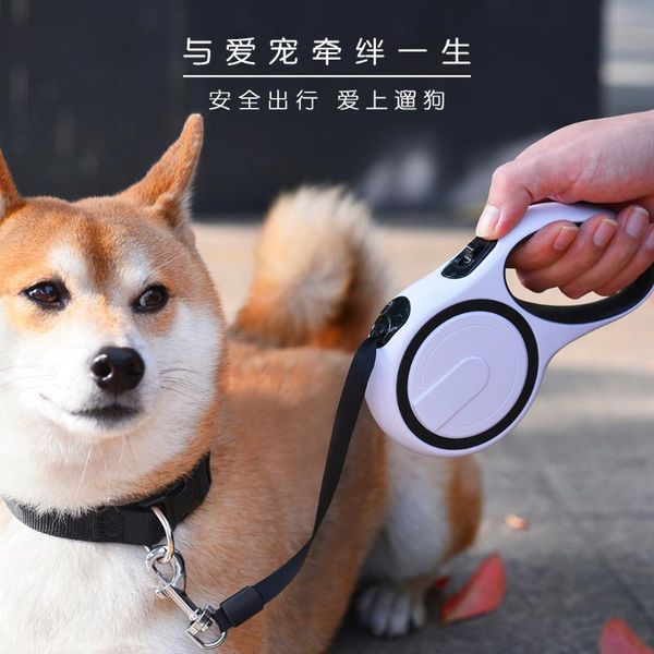 pet dog automatic traction rope walking telescopictraction supplies chain collars & leashes
pet dog automatic traction rope walking telescopictraction supplies chain collars & leashes
