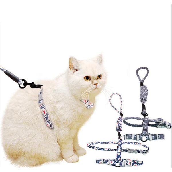 cat collars & leads pet leashes leash multifunctional comfortable padded handles durable for small medium and large ud88
cat collars & leads pet leashes leash multifunctional comfortable padded handles durable for small medium and large ud88
