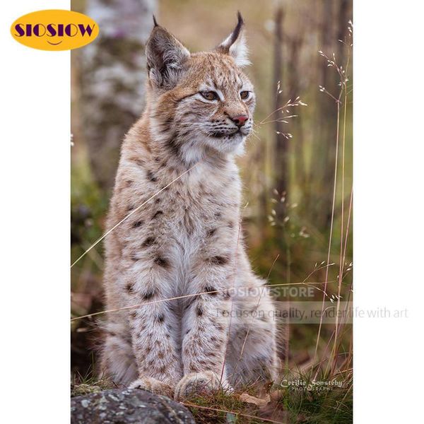diamond painting siosiow lynx animals pictures of rhinestones embroidery full display mosaic cat home decoration
diamond painting siosiow lynx animals pictures of rhinestones embroidery full display mosaic cat home decoration