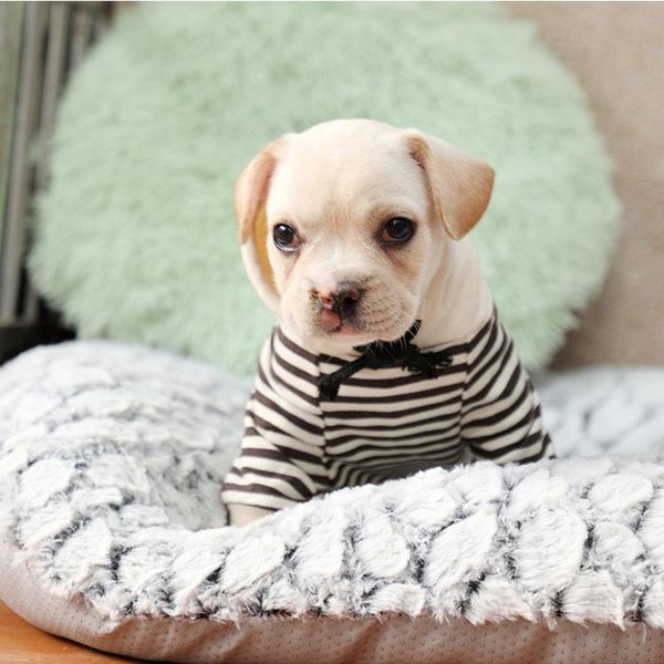 kennels & pens soft plush dog bed kennel pad crate mat thicker cat pet mats mattress pets sleeping cushion blanket for small puppy large
kennels & pens soft plush dog bed kennel pad crate mat thicker cat pet mats mattress pets sleeping cushion blanket for small puppy large