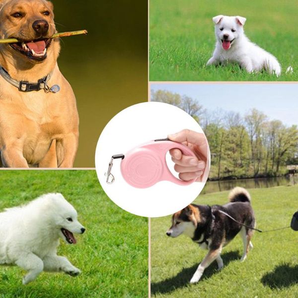 dog collars & leashes 3m leash automatic retractable traction rope adjustable extending belt for cat outdoor walking pet accessories
dog collars & leashes 3m leash automatic retractable traction rope adjustable extending belt for cat outdoor walking pet accessories