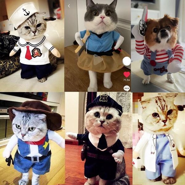cat cosplay pet urashima too meow costume cats clothes spring summer upright funny dress thin dog hat accessories costumes
cat cosplay pet urashima too meow costume cats clothes spring summer upright funny dress thin dog hat accessories costumes