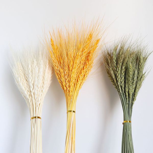 50pcs natural dried wheat ears wedding party decoration bouquet gift home decor pampas opening barley diy craft dried flowers
50pcs natural dried wheat ears wedding party decoration bouquet gift home decor pampas opening barley diy craft dried flowers