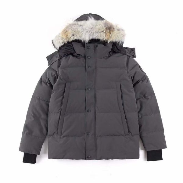 winter windbreaker down jacket outwear parka coats for men's women's apparel fashion designer clothes clothing vest dress sweater, Black
winter windbreaker down jacket outwear parka coats for men's women's apparel fashion designer clothes clothing vest dress sweater, Black