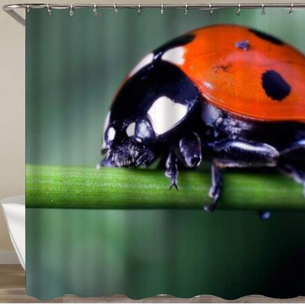 bathroom shower curtain,ladybug insect nature fresh stem,polyester fabric shower curtains waterproof bath curtain with 12
bathroom shower curtain,ladybug insect nature fresh stem,polyester fabric shower curtains waterproof bath curtain with 12