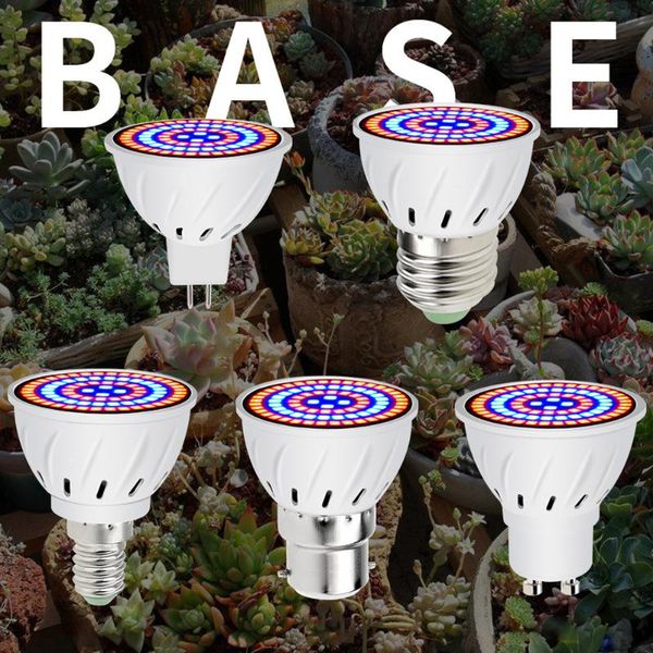 grow light led bulb e27 mr16 gu10 e14 full spectrum plant growth lamp hydroponic lights indoor plants greenhouse garden sunlight
grow light led bulb e27 mr16 gu10 e14 full spectrum plant growth lamp hydroponic lights indoor plants greenhouse garden sunlight