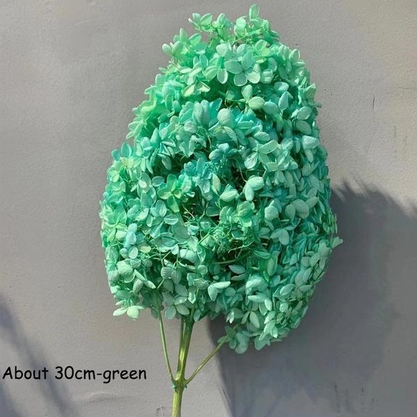 head,real dried natural fresh roses preserved hydrangea flowers branches,eternal rose forever hydrangeas with pole decorative & wreaths
head,real dried natural fresh roses preserved hydrangea flowers branches,eternal rose forever hydrangeas with pole decorative & wreaths