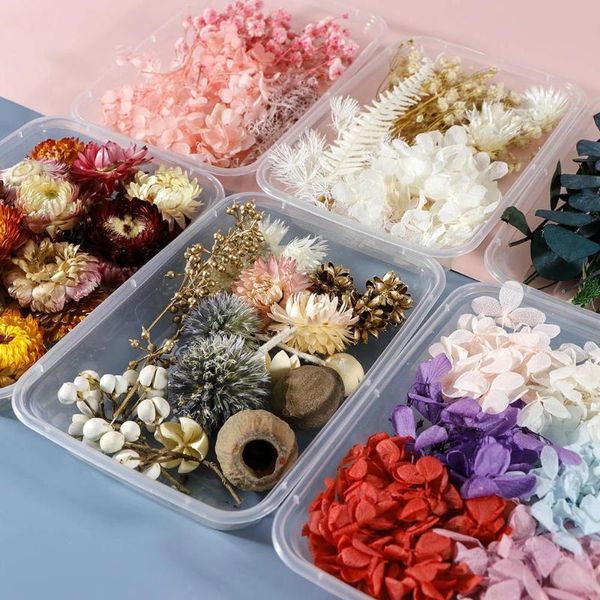 box colorful real dried flower plant for candle epoxy resin pendant necklace jewelry making craft diy accessories decorative fl flowers & wr
box colorful real dried flower plant for candle epoxy resin pendant necklace jewelry making craft diy accessories decorative fl flowers & wr