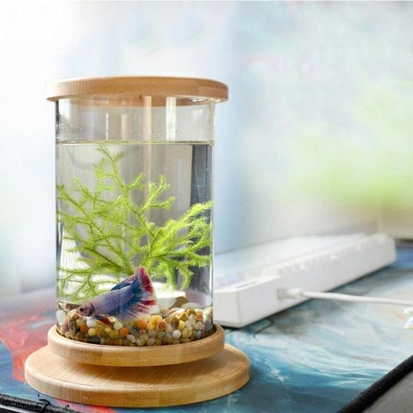 aquariums creative manual rotating glass fish tank with base mini cylinder deskaquarium for betta diameter 10 cm height 15
aquariums creative manual rotating glass fish tank with base mini cylinder deskaquarium for betta diameter 10 cm height 15