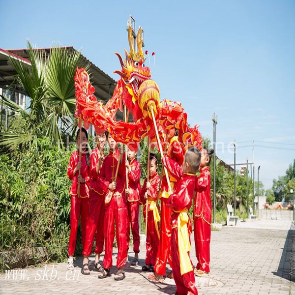 5.5m for 6 kids led lights children size silk print fabric kid dragon dance chinese traditional folk festival celebration opera stage prop m, Black;red
5.5m for 6 kids led lights children size silk print fabric kid dragon dance chinese traditional folk festival celebration opera stage prop m, Black;red
